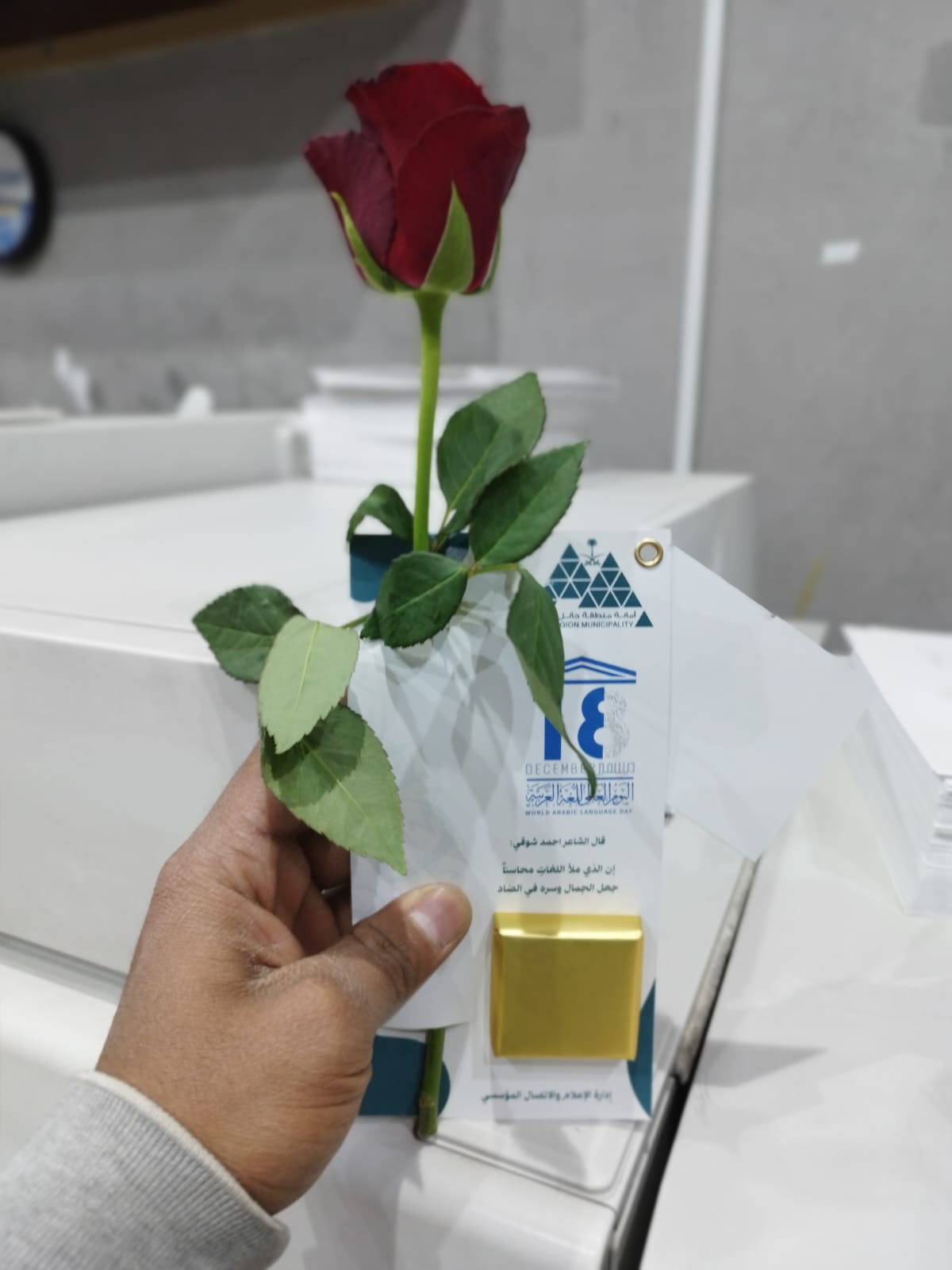 f60b0063-7115-40c6-99e8-695015a06713